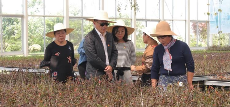 �������ɲ��������ư��⡱ר���ж�